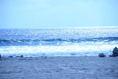 DSC_5003 (Large).JPG